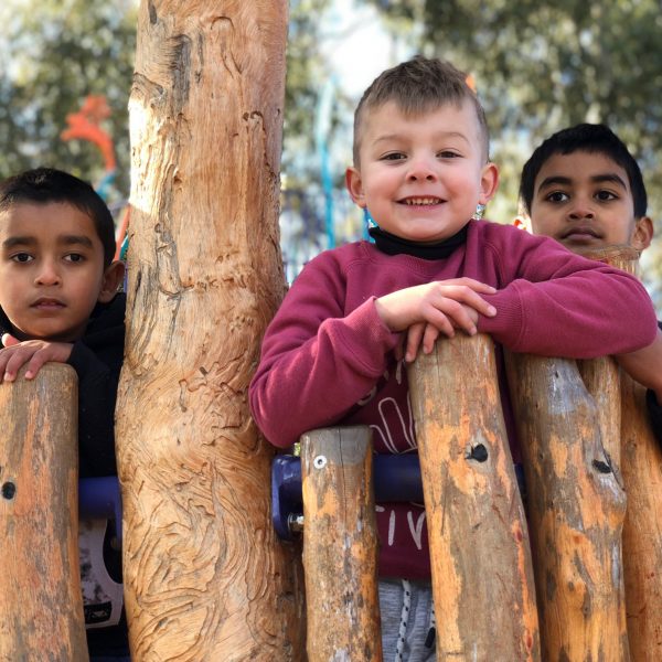 3 preschool boys in tree cubby house