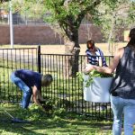 Southern Cross ECS Hail Storm Clean Up