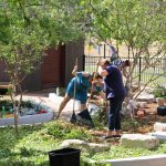 Southern Cross ECS Hail Storm Clean Up