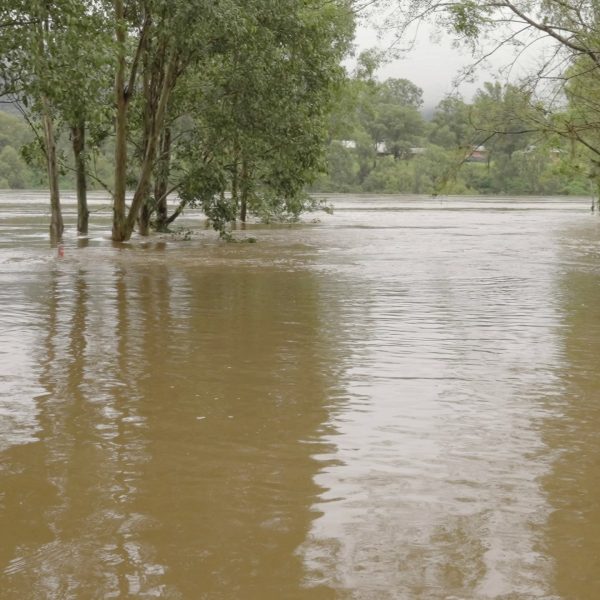Flooded river