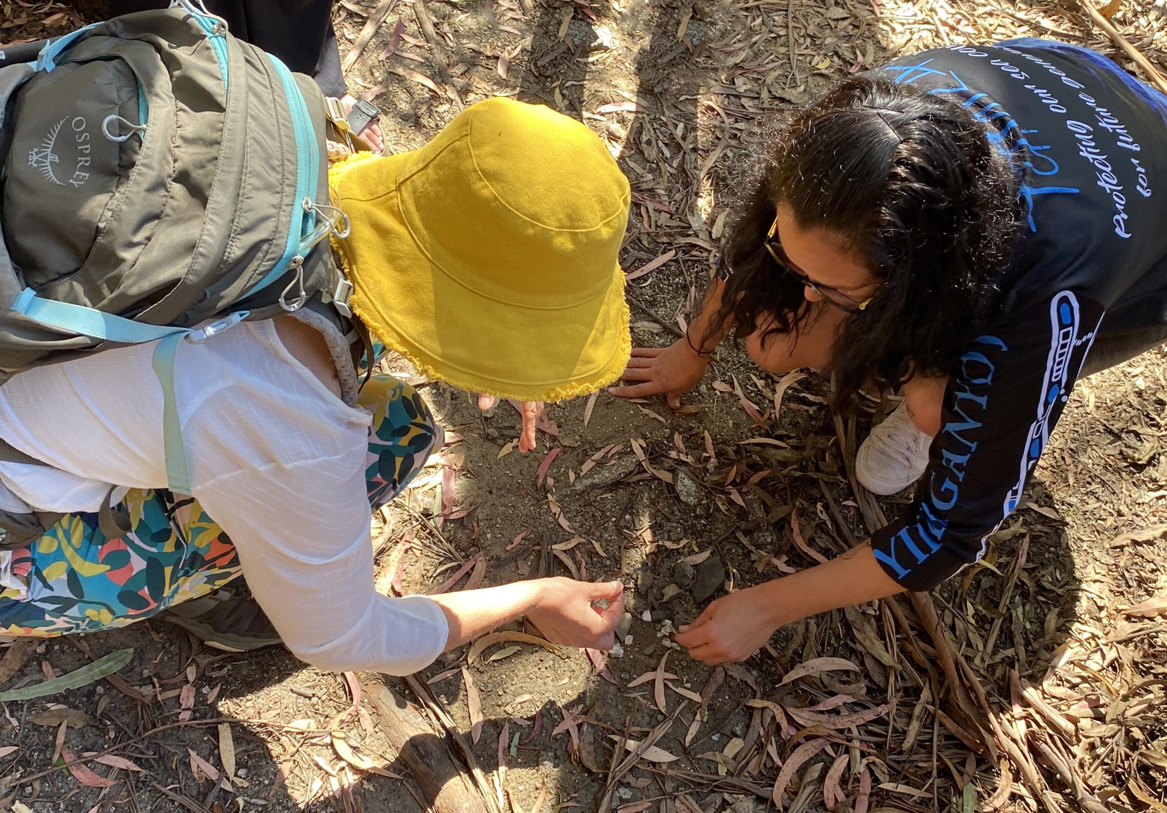 Two women inspecting leaves on the ground at Tidbinbilla Nature Reserve